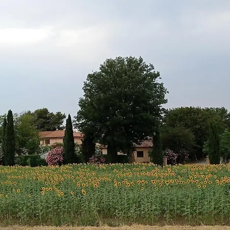 Feriegård Podere San Carlo *