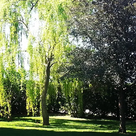 Podere San Carlo *